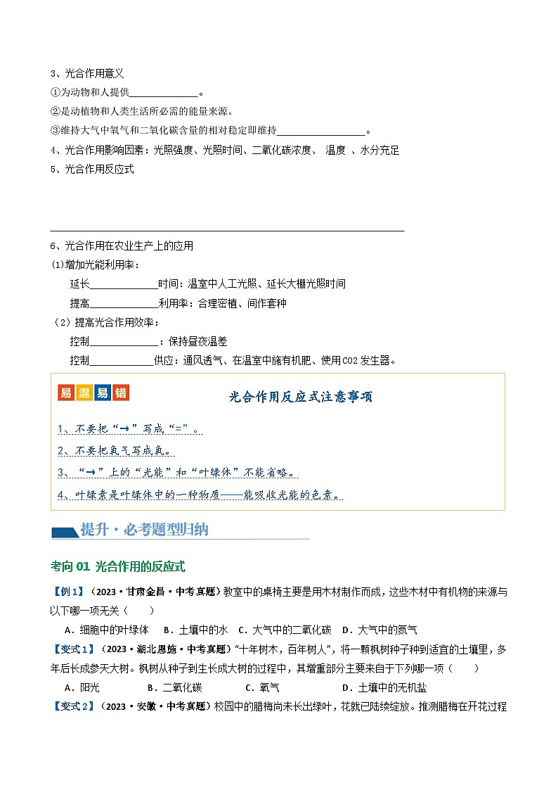 专题07 绿色植物的光合作用（讲义）（原卷版）第3页