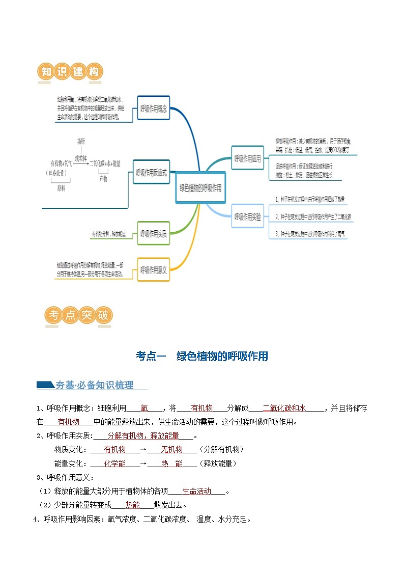 专题08 绿色植物的呼吸作用（讲义）（解析版）第2页