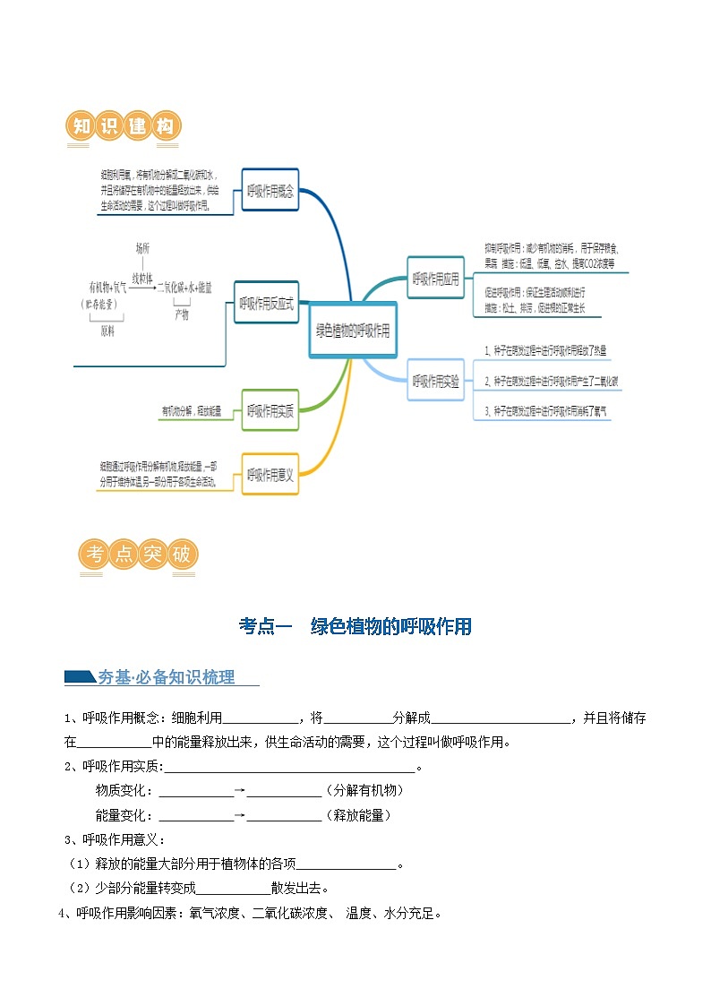 专题08 绿色植物的呼吸作用（讲义）（原卷版）第2页