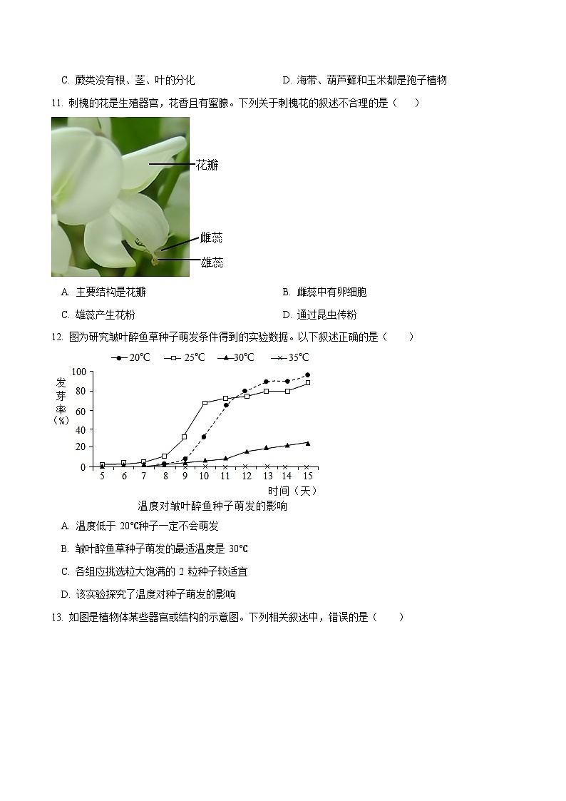 模块三 生物圈中的绿色植物（测试）（原卷版）第2页