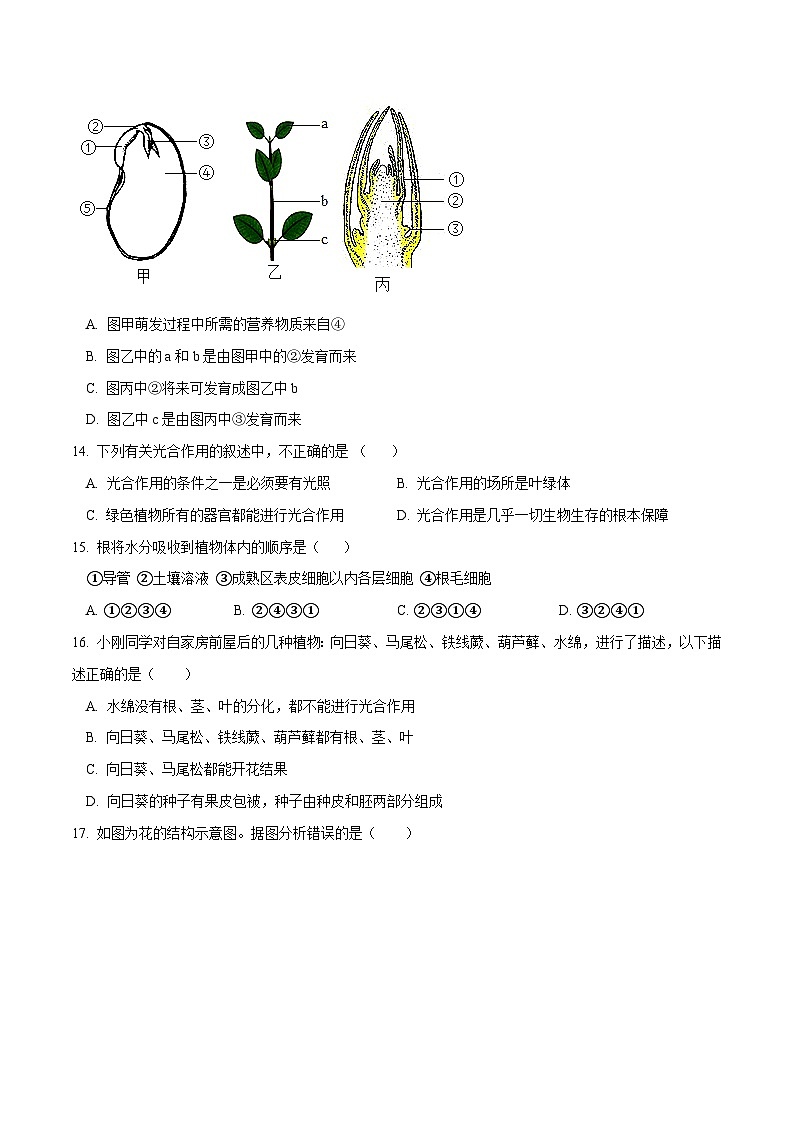 模块三 生物圈中的绿色植物（测试）（原卷版）第3页