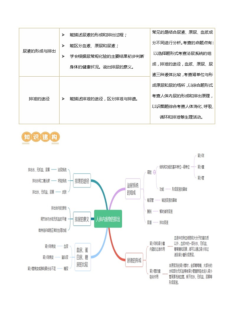 专题13 人体内废物的排出（讲义）（原卷版）第2页