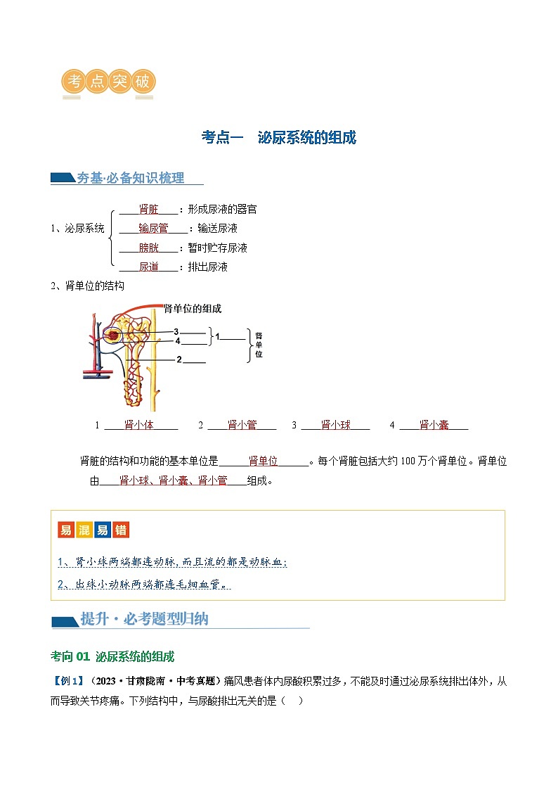 专题13 人体内废物的排出（讲义）（解析版） 第3页