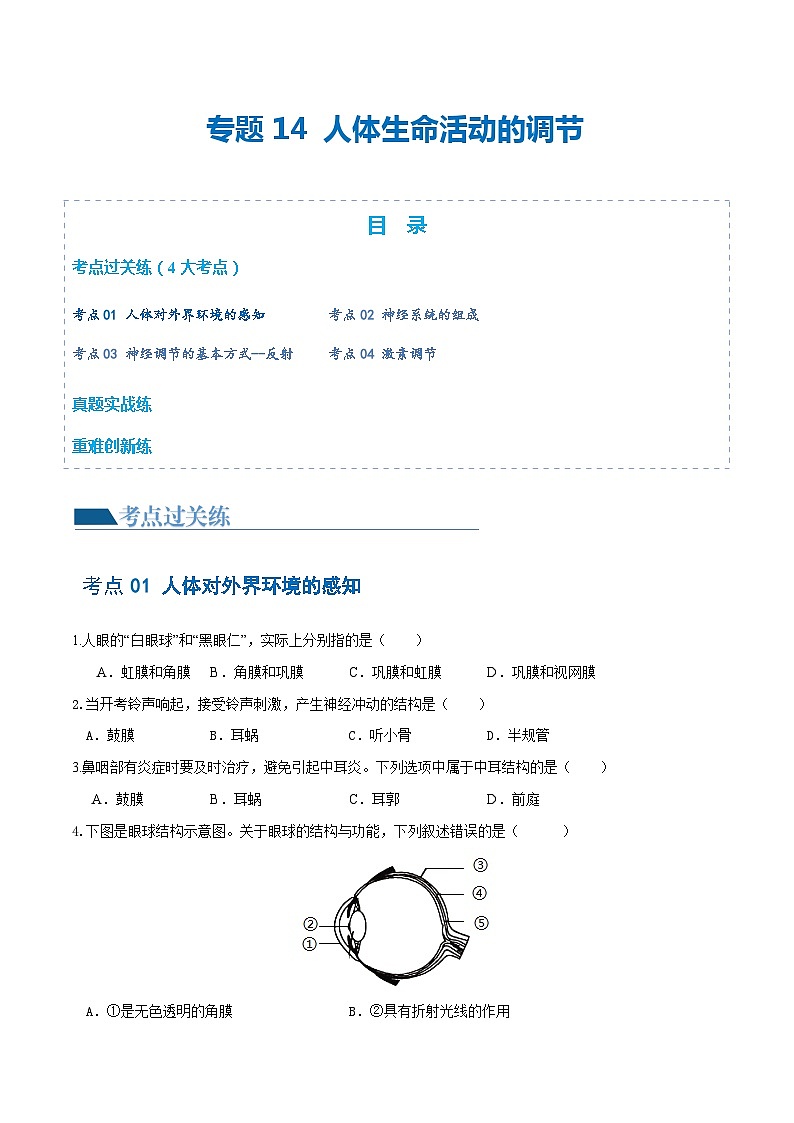 专题14 人体生命活动的调节（练习）（原卷版）第1页