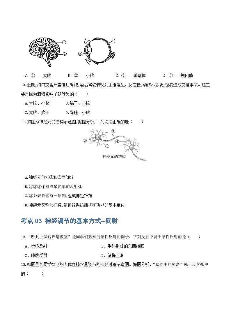 专题14 人体生命活动的调节（练习）（原卷版）第3页