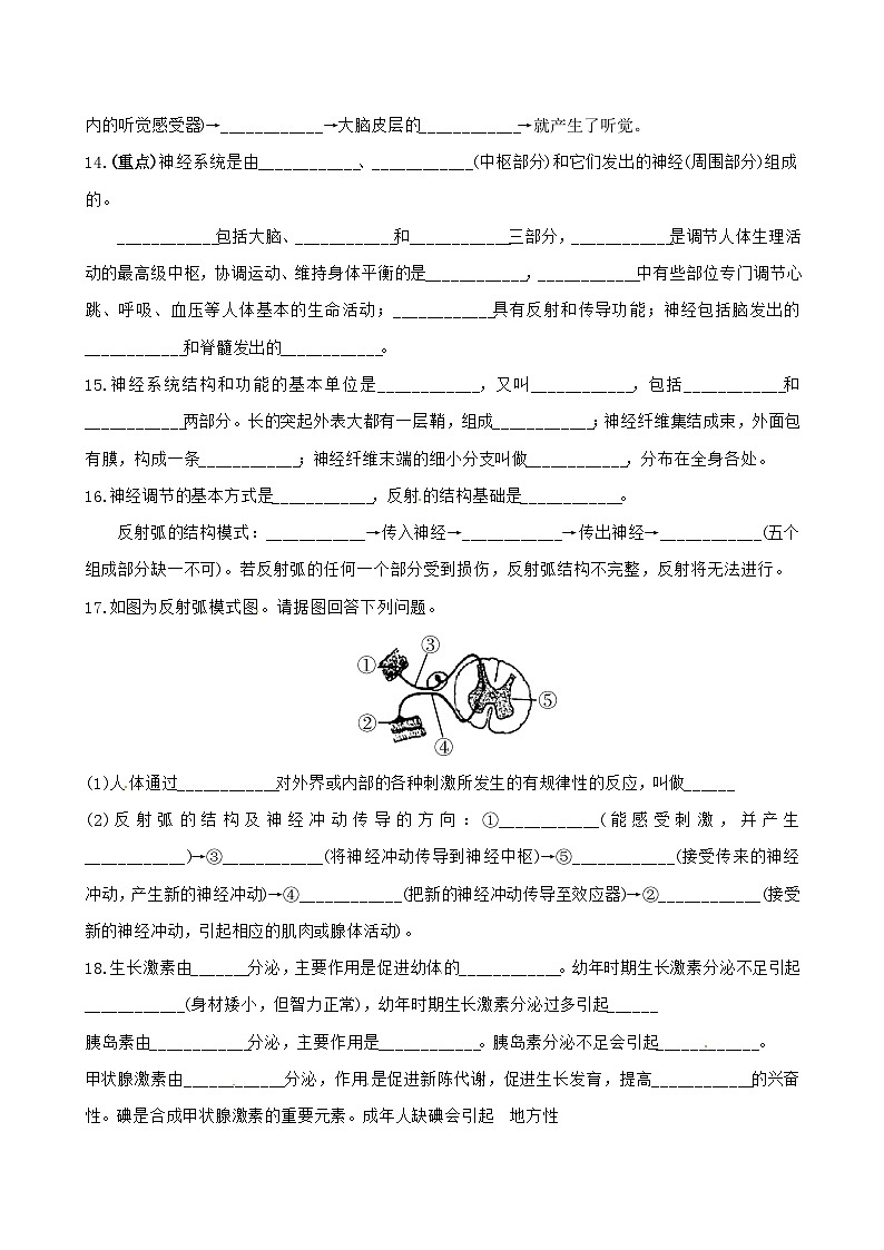 重点知识点过关（含答案）2023-2024学年人教版生物七年级下册03