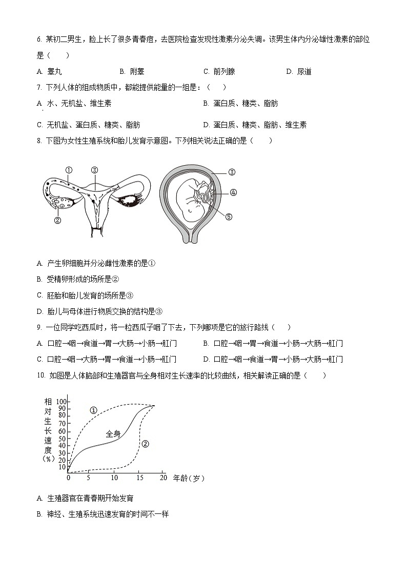 湖南省永州市京华中学2023-2024学年七年级下学期4月月考生物试题（原卷版+解析版）02