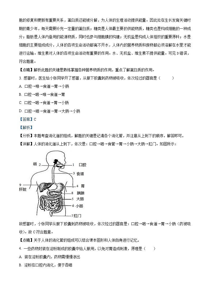 山东省齐河县安头乡中学2023-2024学年七年级下学期第一次月考生物试题（解析版）第2页