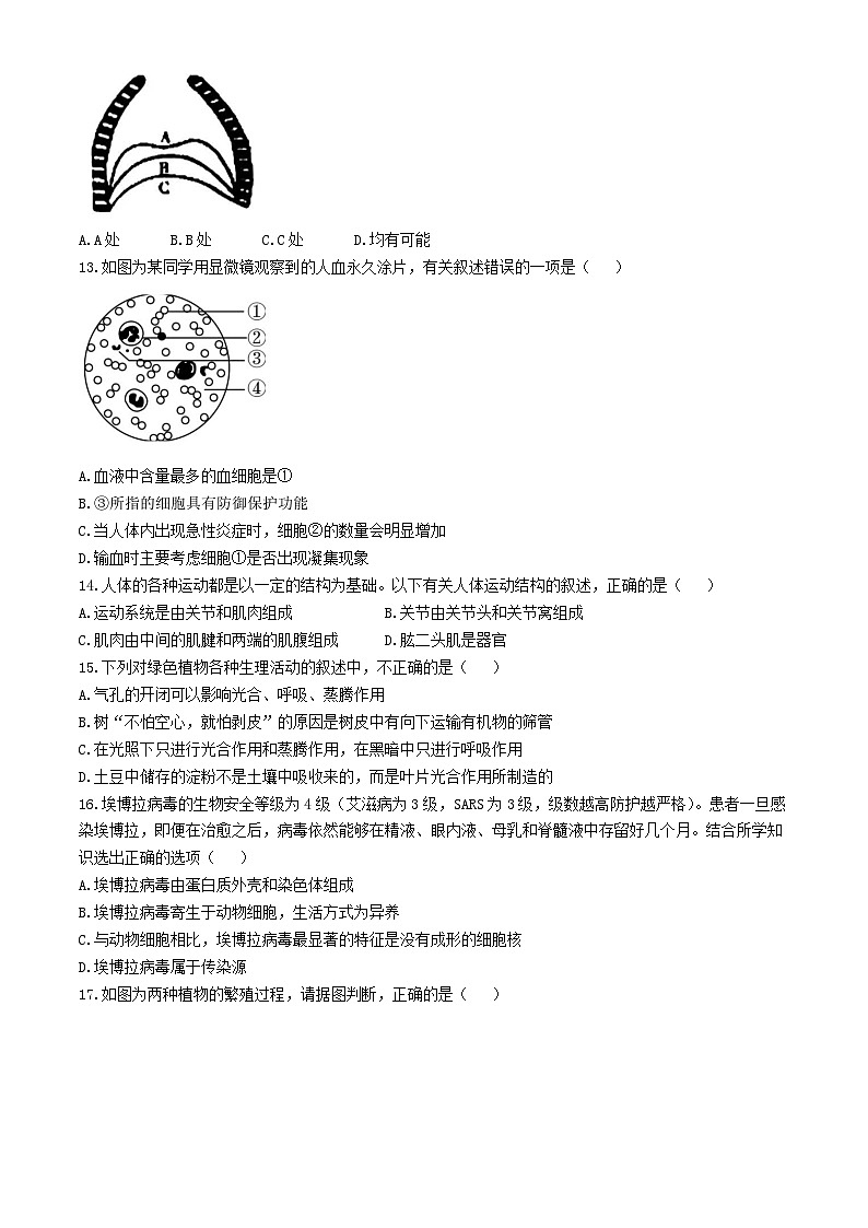 2024年山东省德州市德城区中考一模生物试题第3页