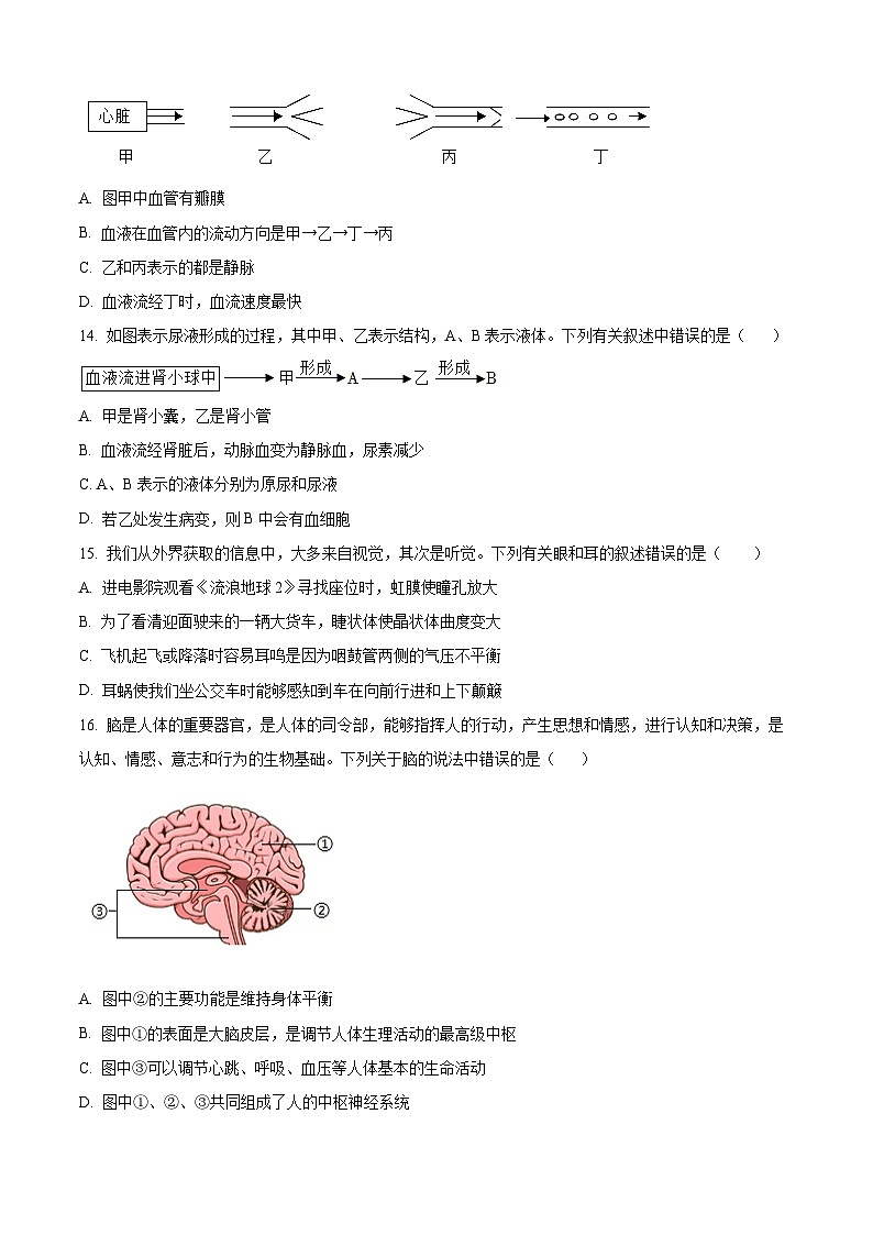 云南省建水实验中学2023-2024学年八年级下学期3月月考生物试题（原卷版+解析版）03