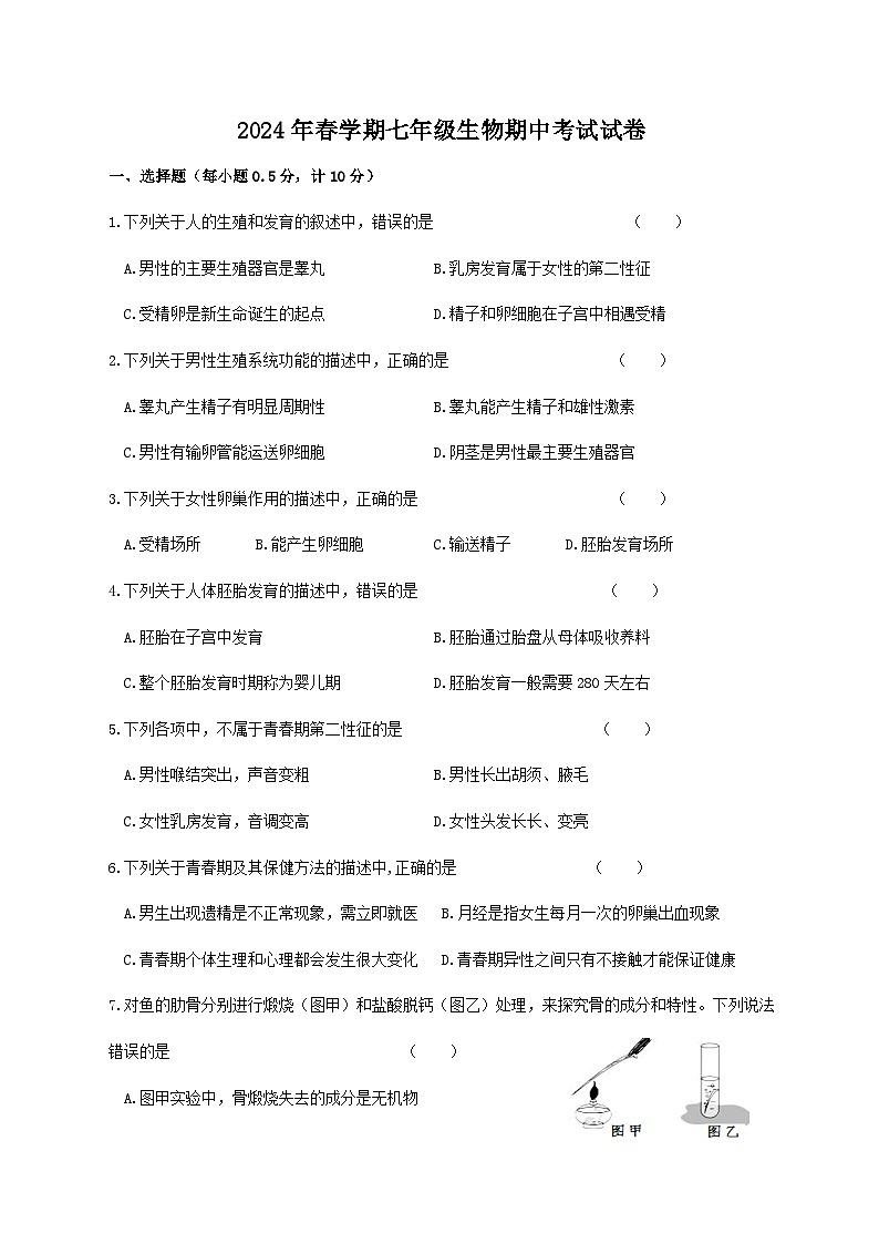 江苏省盐城市盐城经济技术开发区2023-2024学年七年级下学期4月期中生物试题01