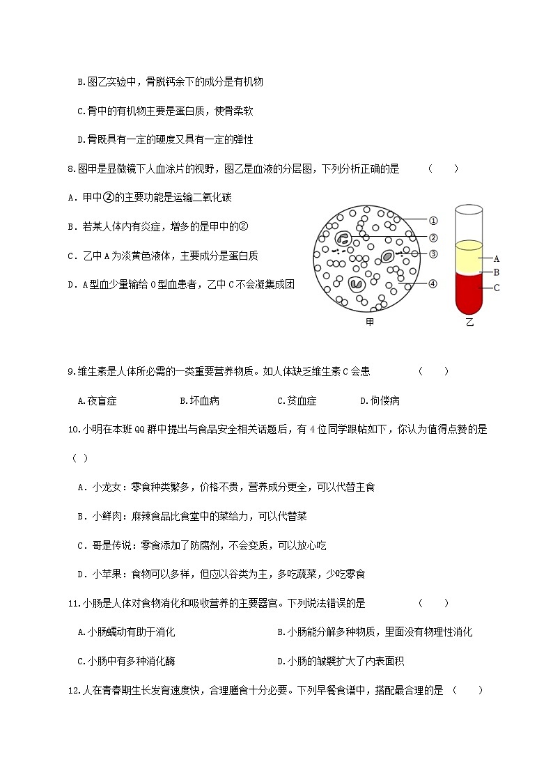 江苏省盐城市盐城经济技术开发区2023-2024学年七年级下学期4月期中生物试题02