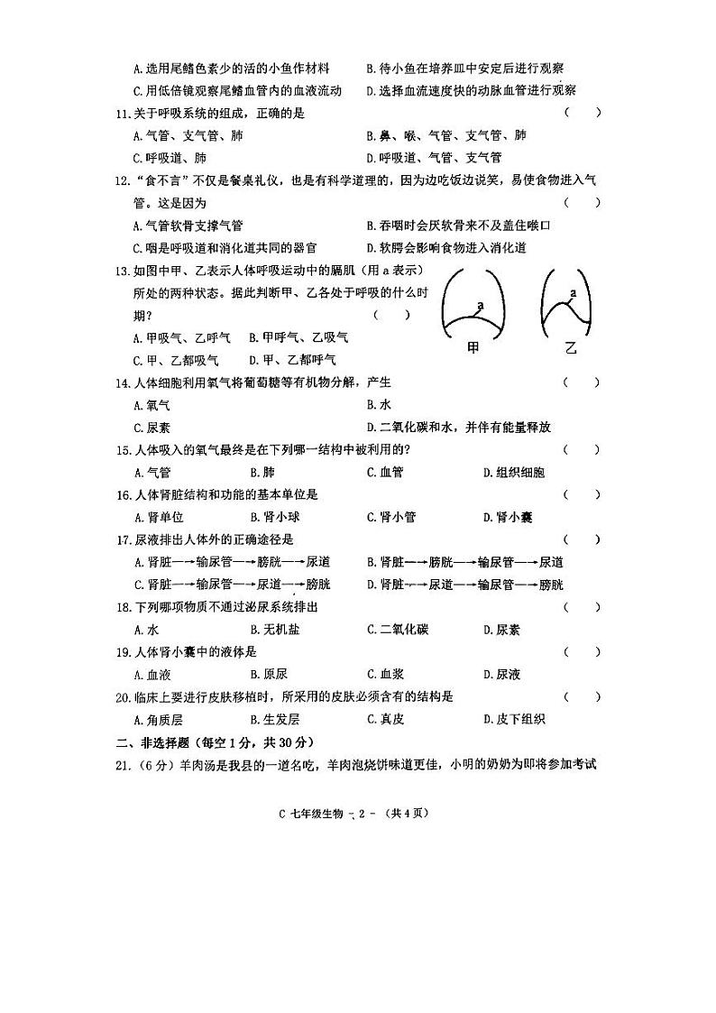 河南省驻马店市确山县2023-2024学年七年级下学期4月期中生物试题第2页