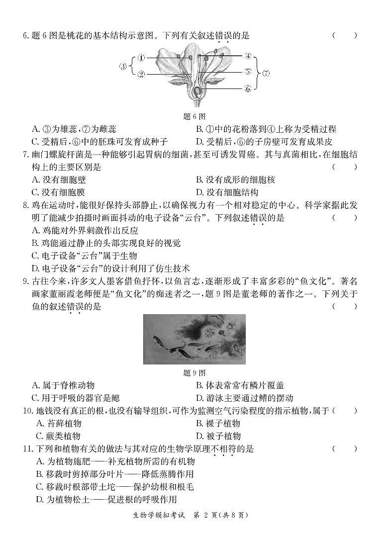 2024年广东省阳江市江城区中考一模生物试题第2页