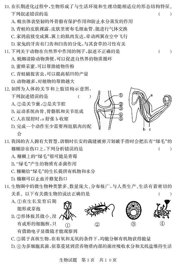 2024年山东省济宁市泗水县中考一模生物试题03