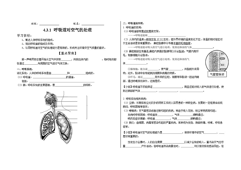 4.3.1呼吸道对空气的处理学案2023--2024学年人教版生物七年级下册01