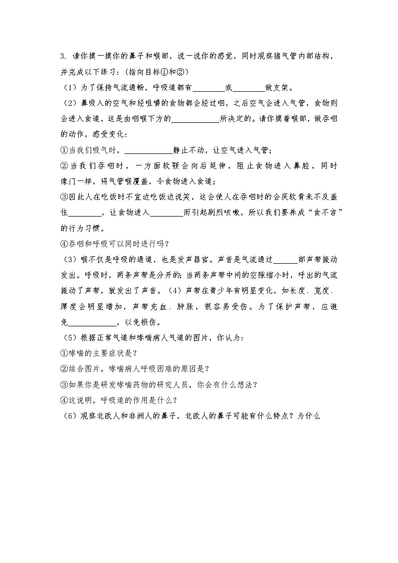 4.3.1  呼吸道对空气的处理（第1课时）学案-2023-2024学年人教版生物七年级下册02