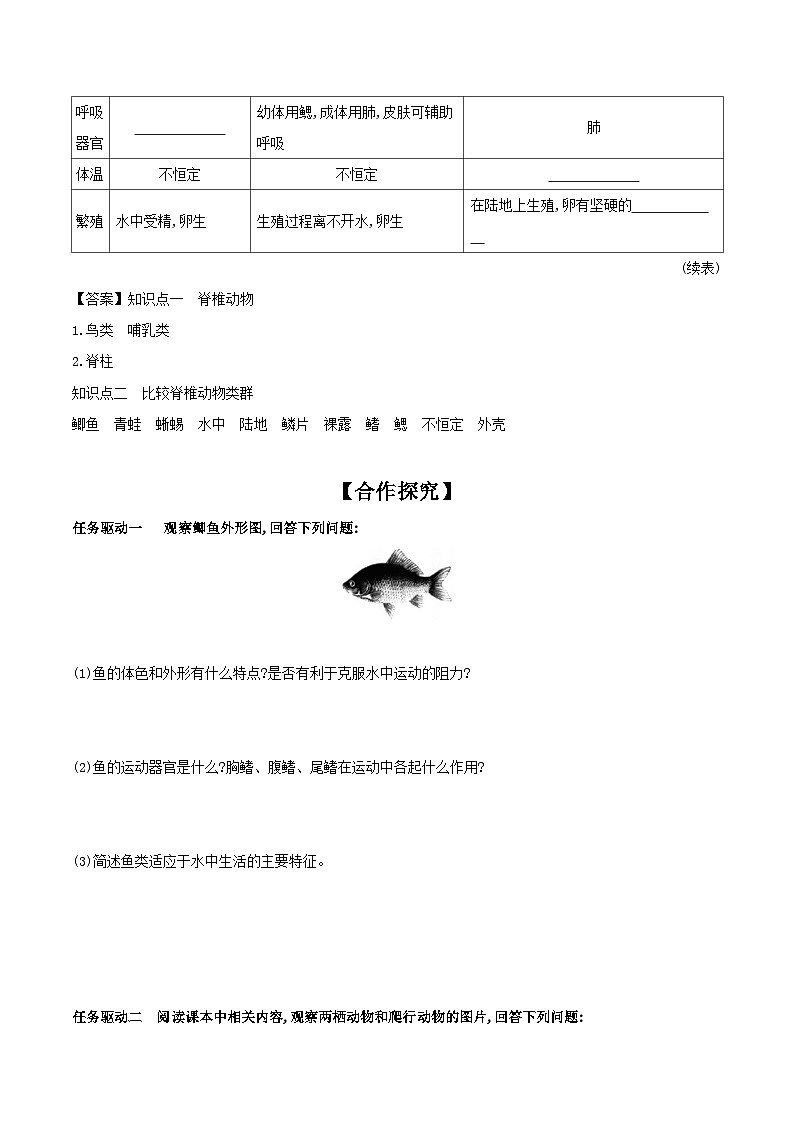 5.14.2 千姿百态的动物世界 第2课时 学案 2023-2024学年苏教版生物八年级上册02