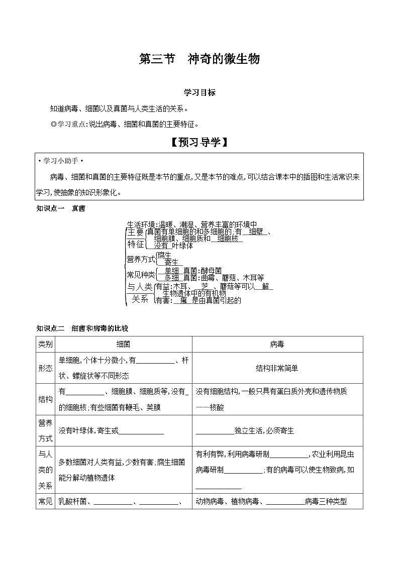 5.14.3 神奇的微生物 学案 2023-2024学年苏教版生物八年级上册01