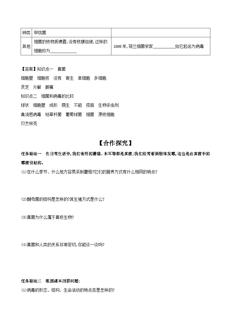 5.14.3 神奇的微生物 学案 2023-2024学年苏教版生物八年级上册02