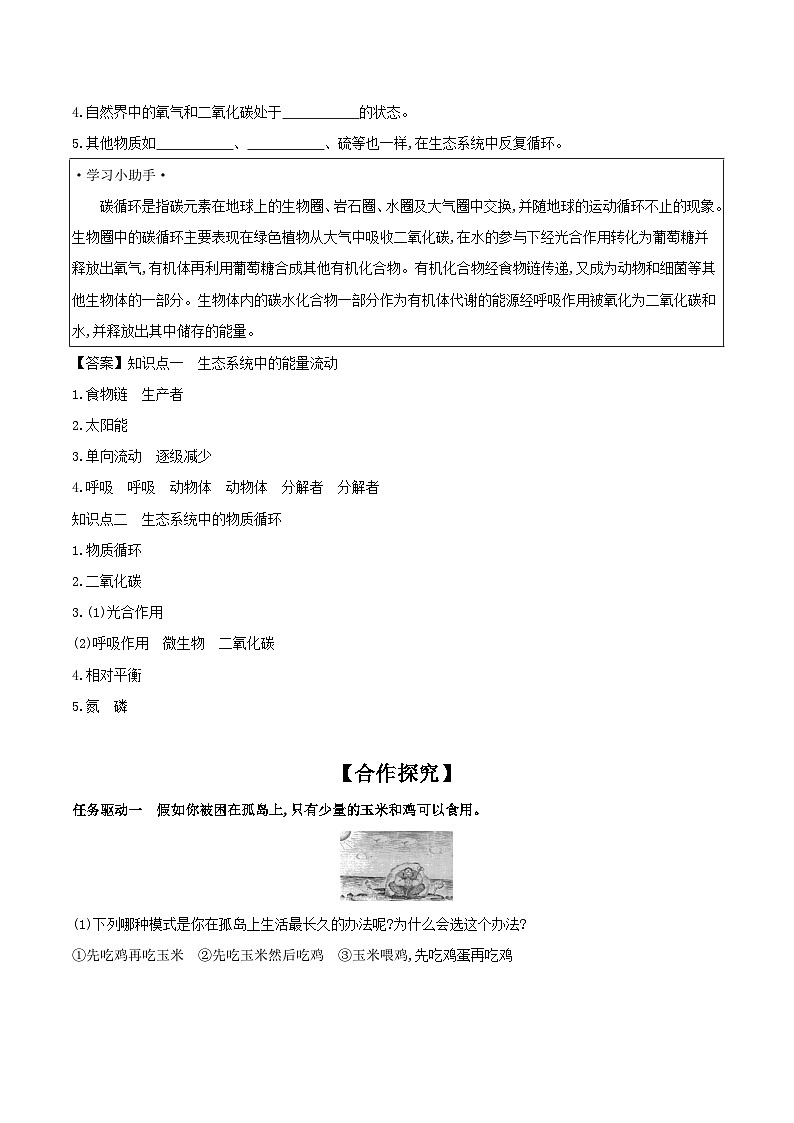 7.19.2 生态系统中的能量流动和物质循环 学案 2023-2024学年苏教版生物八年级上册02