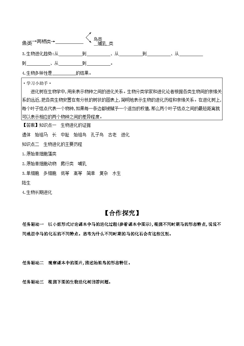 5.16.2 生物进化的历程 学案 2023-2024学年苏教版生物八年级上册02