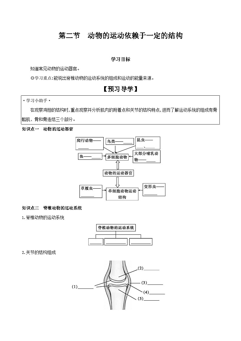 6.17.2 动物的运动依赖于一定的结构 学案 2023-2024学年苏教版生物八年级上册01