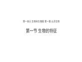 1.1.1 生物的特征 课件