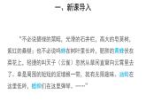 1.1.2 調(diào)查周邊環(huán)境中的生物（第1課時） 課件