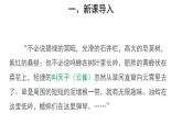 1.1.2 調(diào)查周邊環(huán)境中的生物（第1課時） 課件