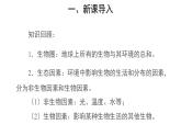 1.2.2 生物与环境组成生态系统（第1课时） 课件