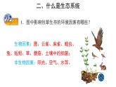 1.2.2 生物与环境组成生态系统（第1课时） 课件