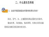1.2.2 生物与环境组成生态系统（第1课时） 课件
