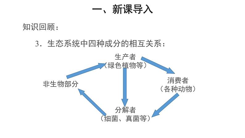 1.2.2 生物与环境组成生态系统（第2课时） 课件第3页