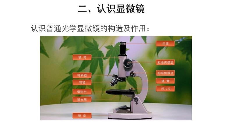 2.1.1 练习使用显微镜 课件第5页