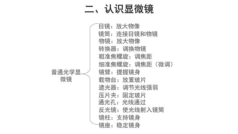 2.1.1 练习使用显微镜 课件第6页