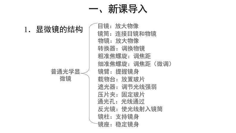 2.1.2 植物细胞 （第1课时）课件第2页