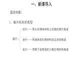 2.1.2 植物细胞 （第2课时）课件