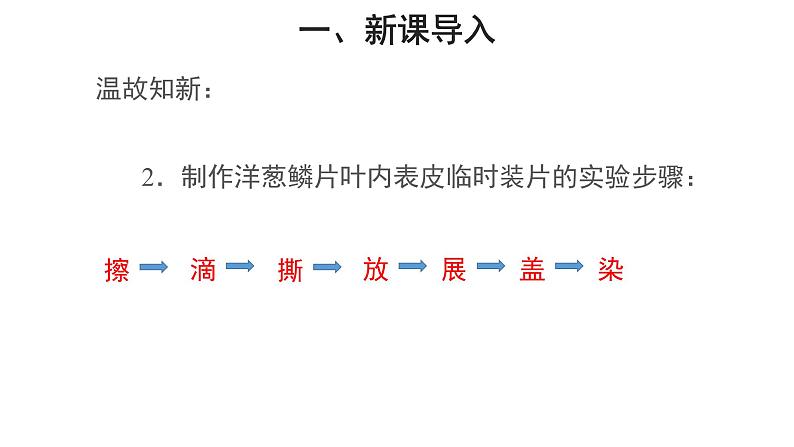 2.1.2 植物细胞 （第2课时）课件第3页