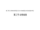 2.1.3 动物细胞 课件