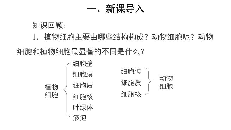 2.1.4 细胞的生活 课件第2页