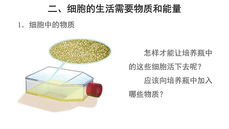 2.1.4 细胞的生活 课件第5页