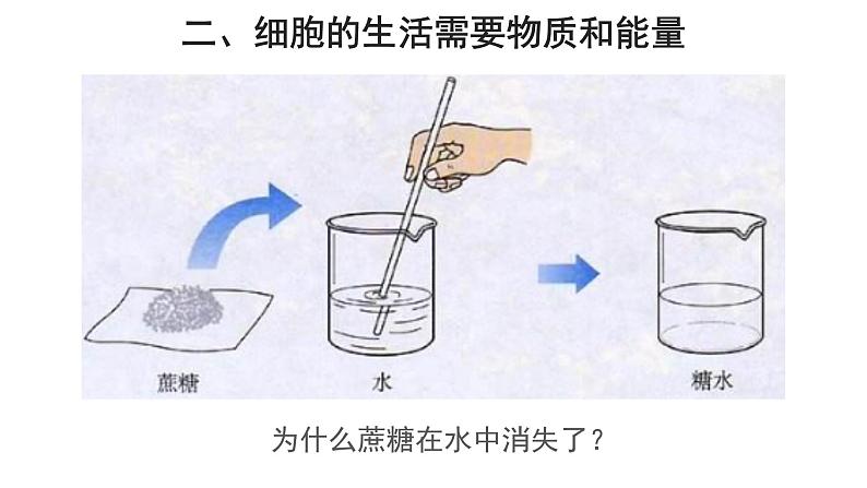 2.1.4 细胞的生活 课件第6页