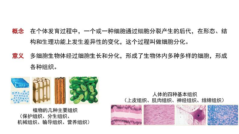 2.2.2 动物体的结构层次 课件第6页