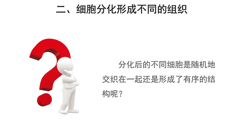 2.2.2 动物体的结构层次 课件第8页