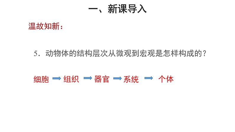 2.2.4 单细胞生物 教学课件06