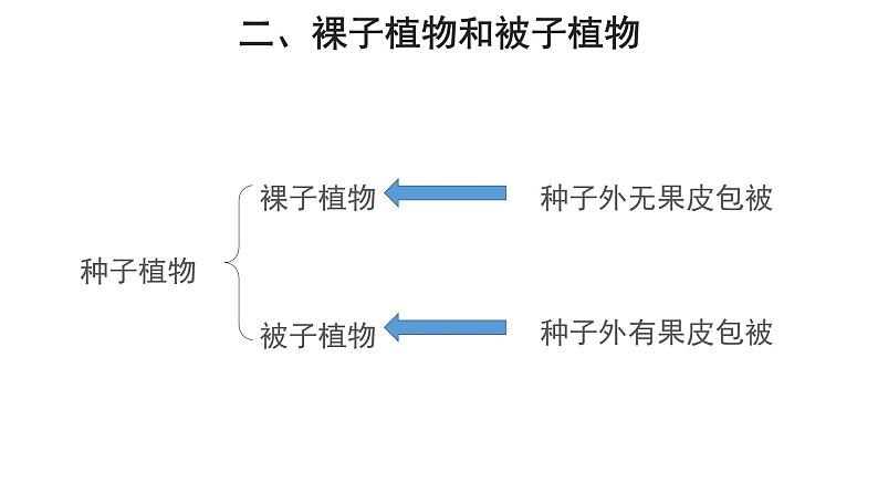 3.1.2 种子植物（第2课时） 课件06