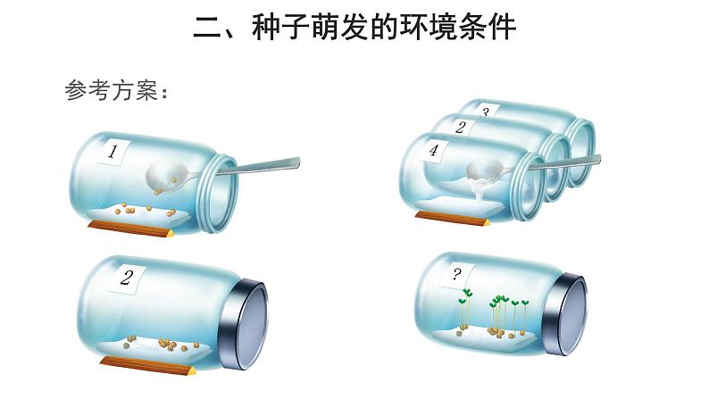3.2.1 种子的萌发（第1课时） 课件08