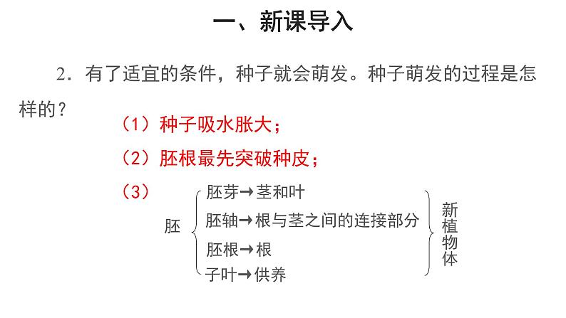 3.2.2 植株的生长（第1课时） 课件03