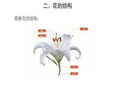 3.2.3 开花和结果 课件